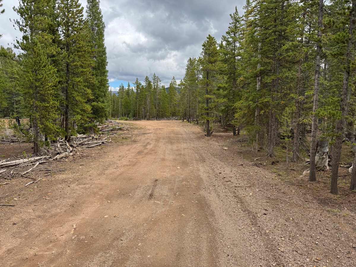 Gold Run Road photo 5