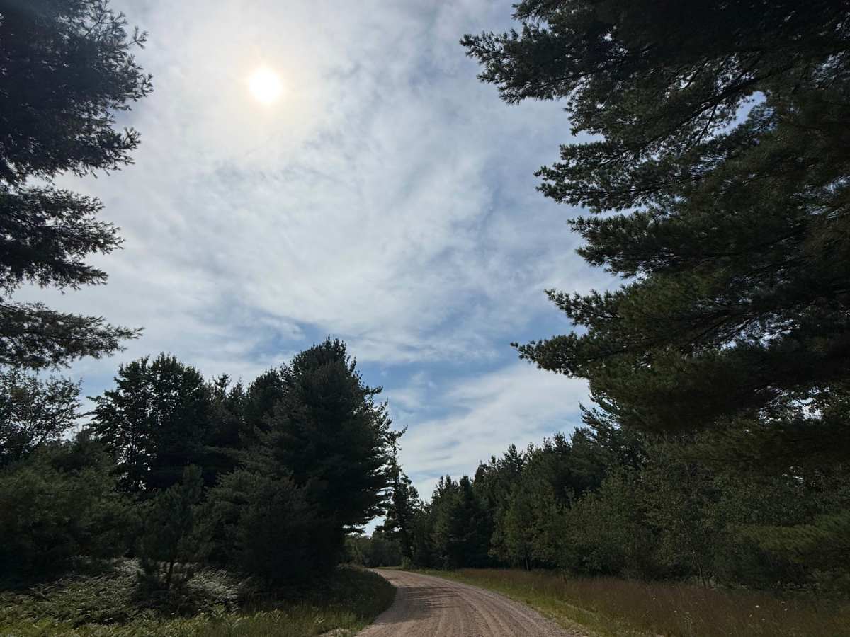 Stoddard Lake Road - FS 9987 photo 2