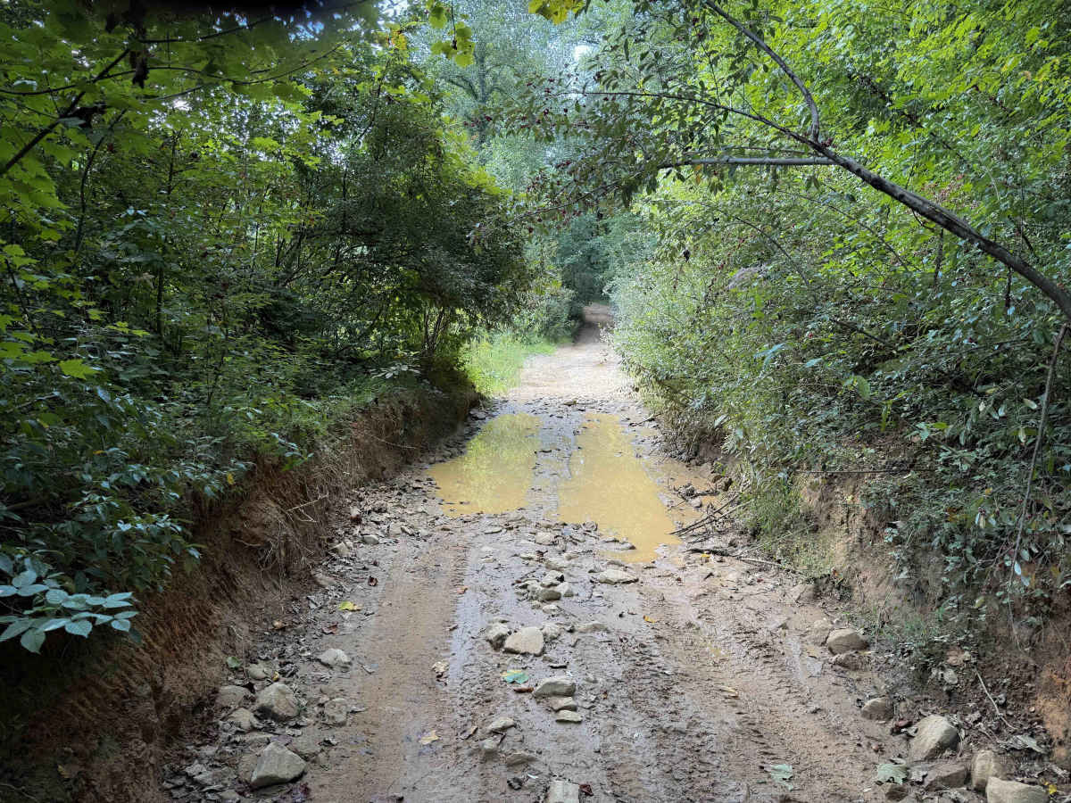 Thirteen Hollow Trail 3   photo 2