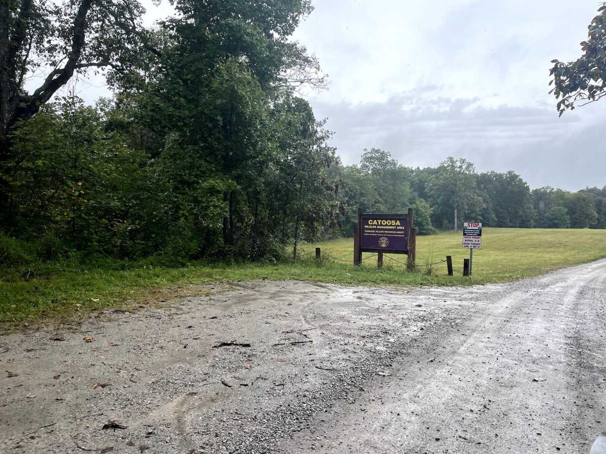Otter Creek Road  trail photo
