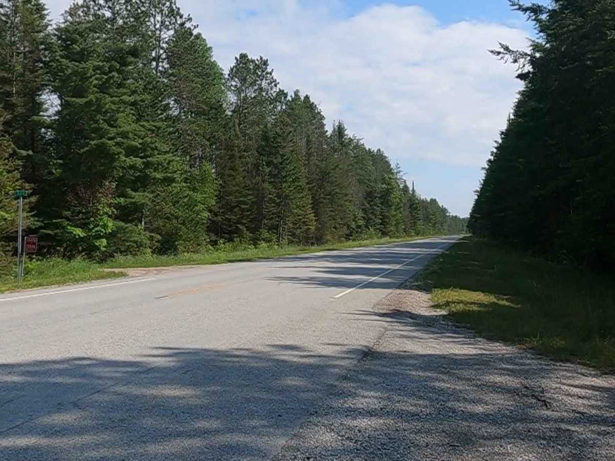 Sturgeon River Road - FSR 2229 photo 4