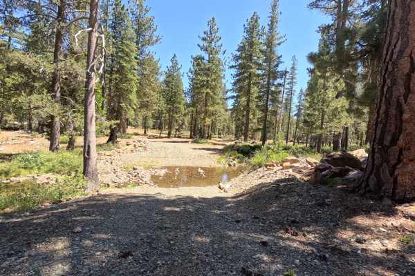 East Cabin Meadow Spur A - FS 41N04A