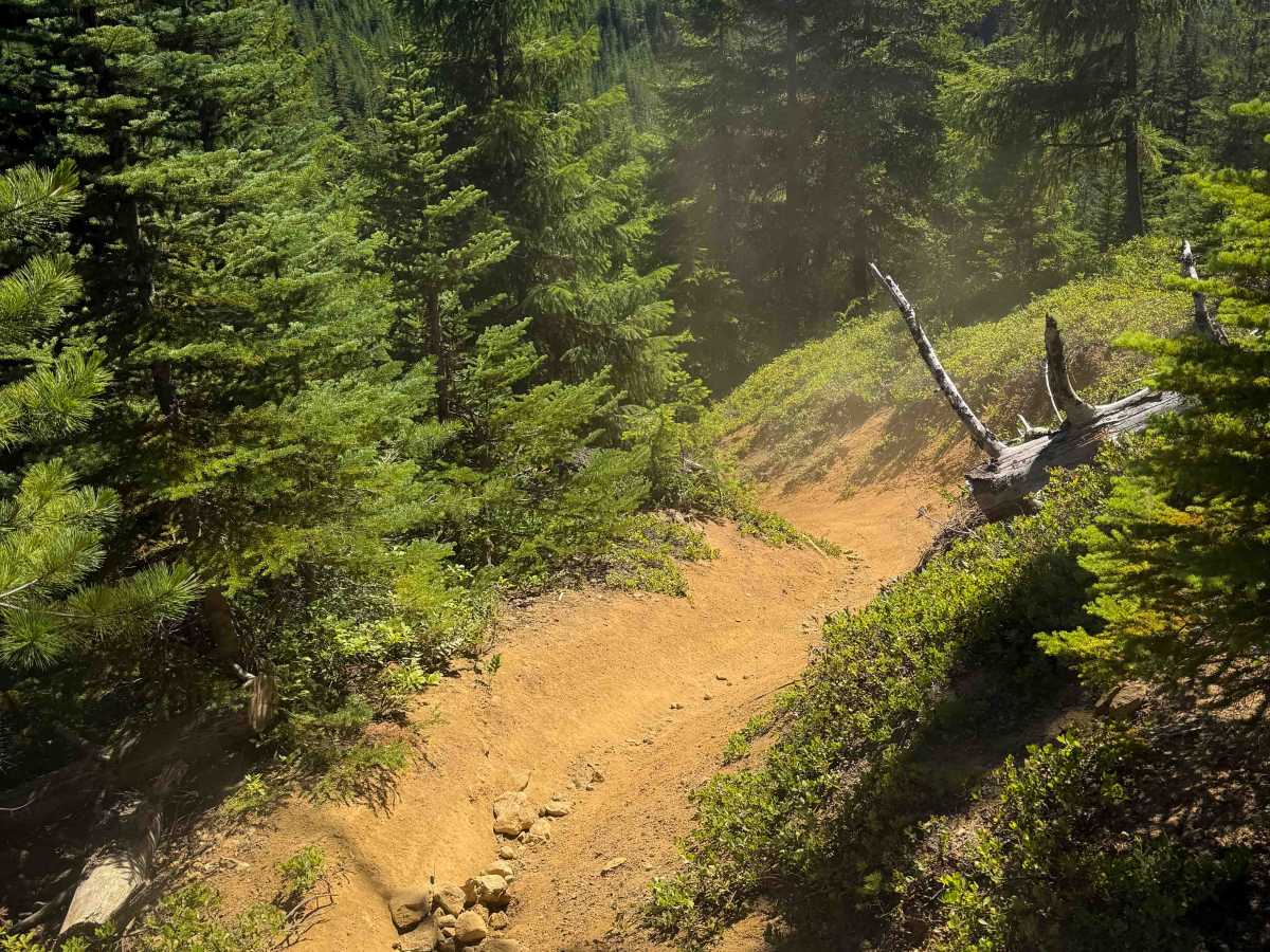 Cub Creek - FS 943A  photo 4