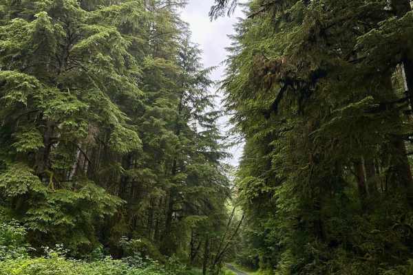 Cape Creek - FS 1057 