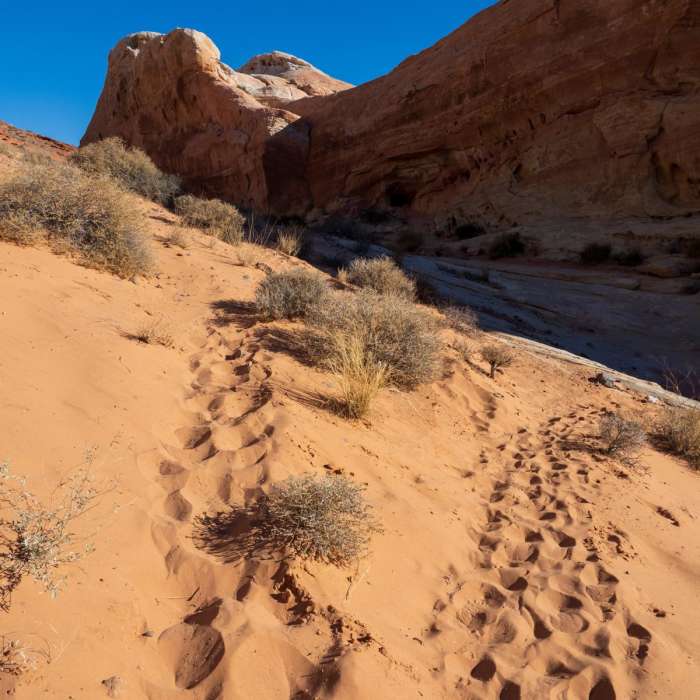 Near Seven Wonders Route