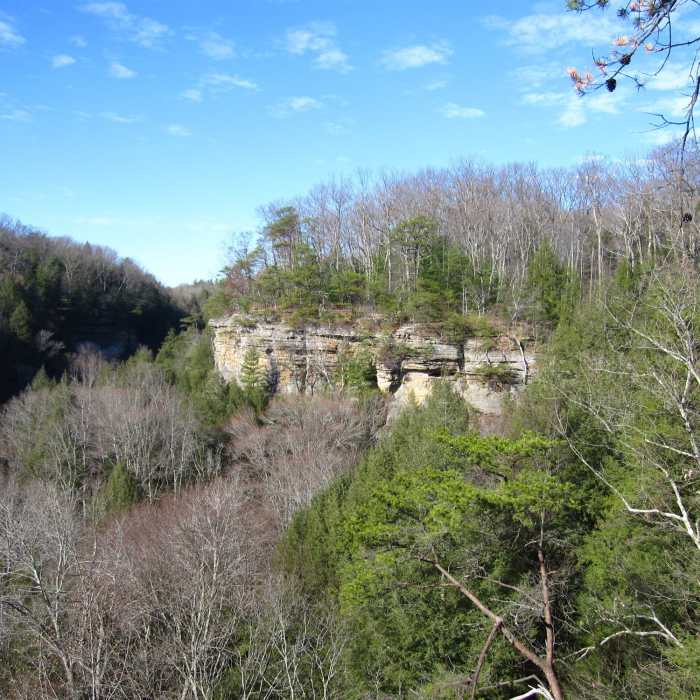 Near Conkles Hollow Gorge Trail