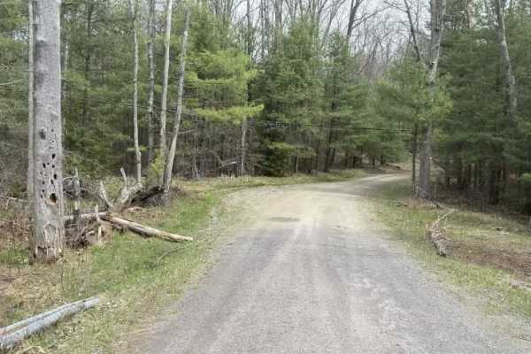 Hemlock Trail - FS 327