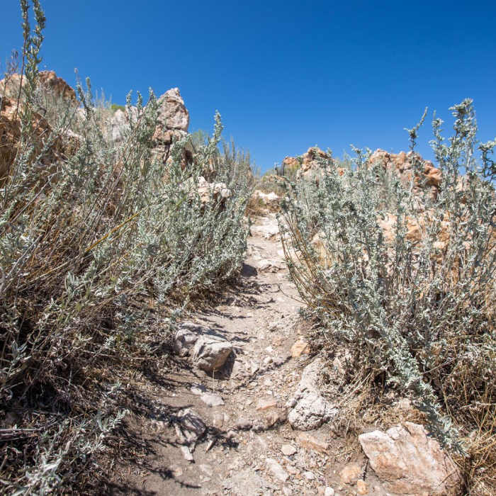 Near Lady Finger Point