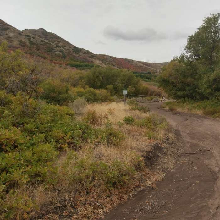 Wide, mellow path on the Main Line Beginner Trail Near Little Valley Overlook