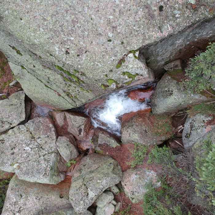 Near Elk Park Trail