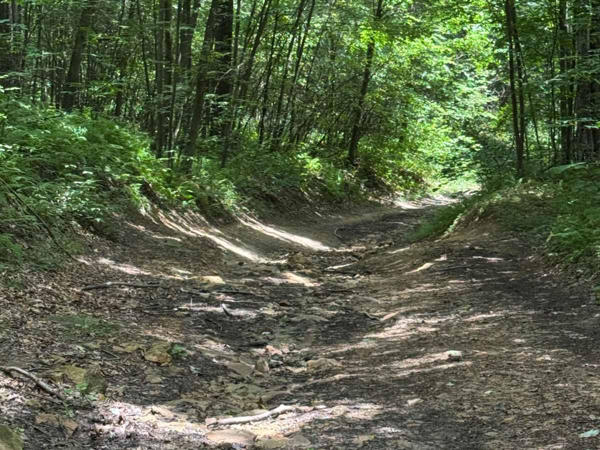 Trail 35 photo 6