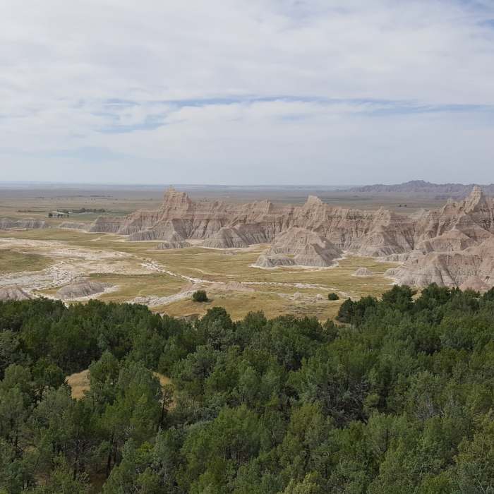 Looking back down at the juniper trees after climbing up out of deer haven Near Sage Creek Wilderness Area Loop