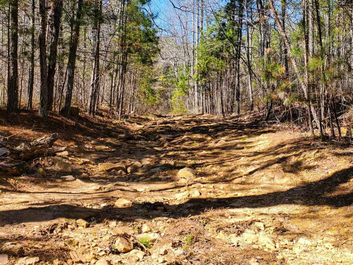 Ritter Road photo 3