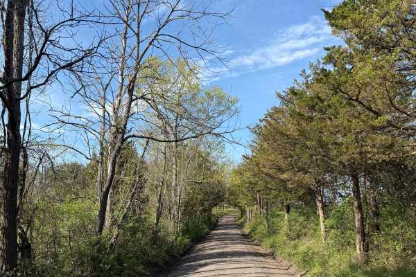 Oak Grove Road 