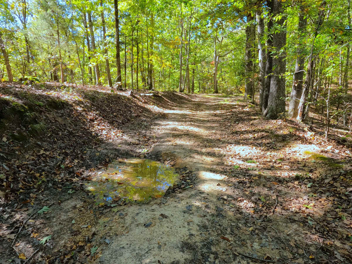 Chambers Cemetery - FS 338 photo 6
