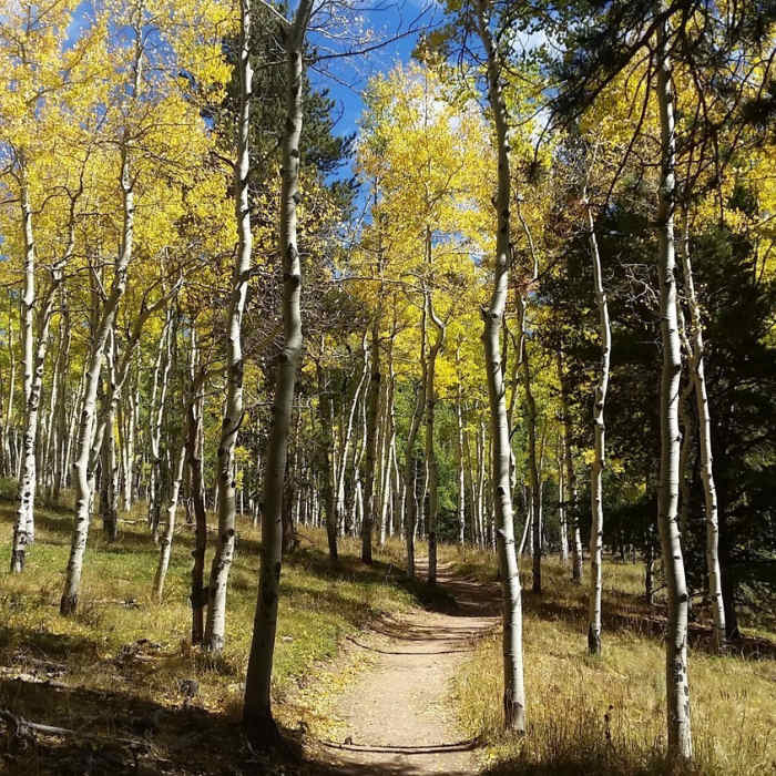 Near Staunton East Side Loop