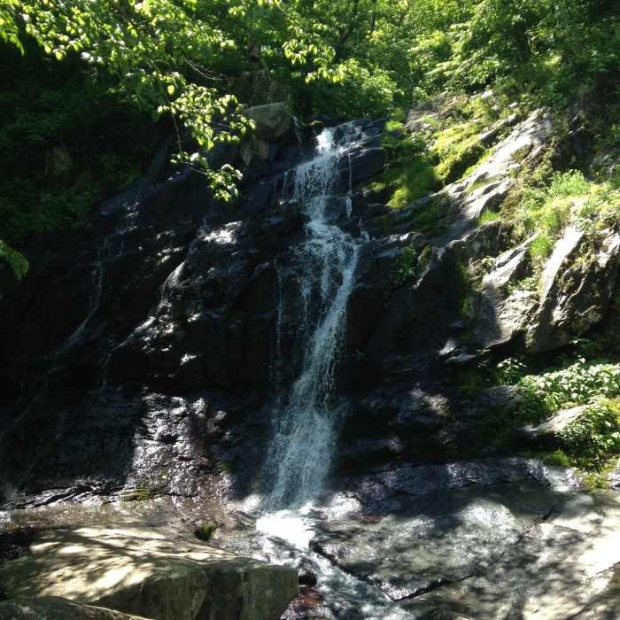 Near Jones Run Trail