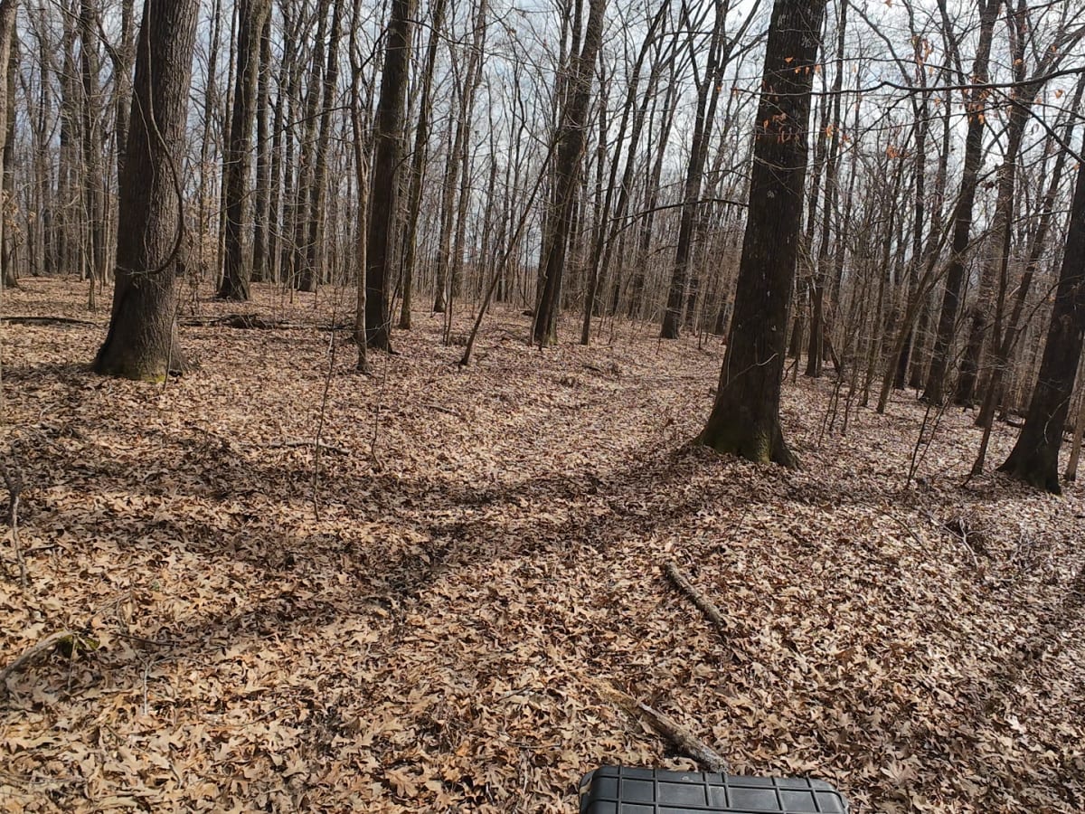 Hurricane Creek Trail photo 5