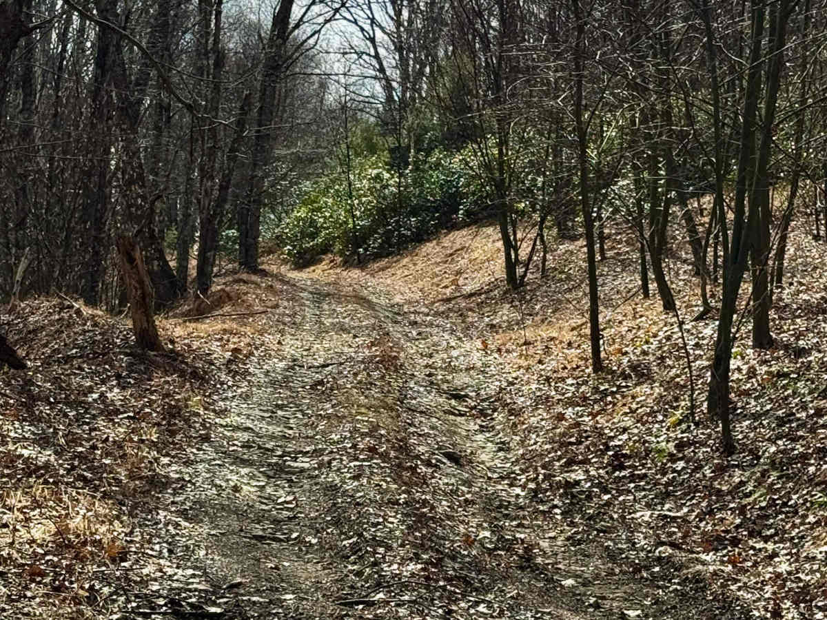 Flat Rock Road photo 6