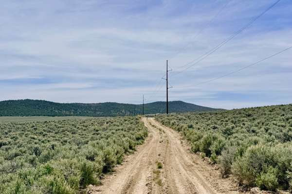 Streshley Springs FS42496