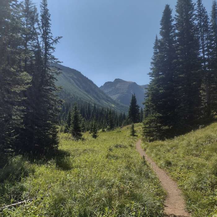Near Twin Lakes Trail