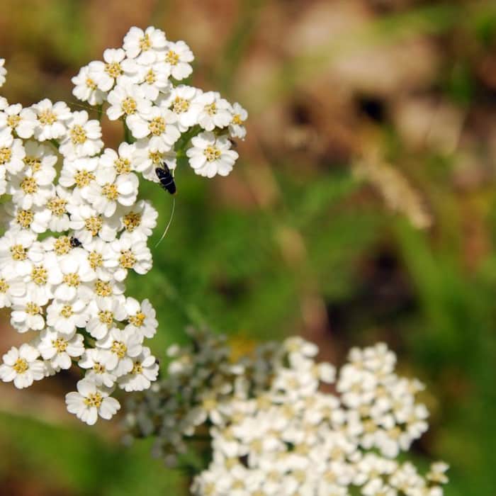 Near Bald Butte Hike