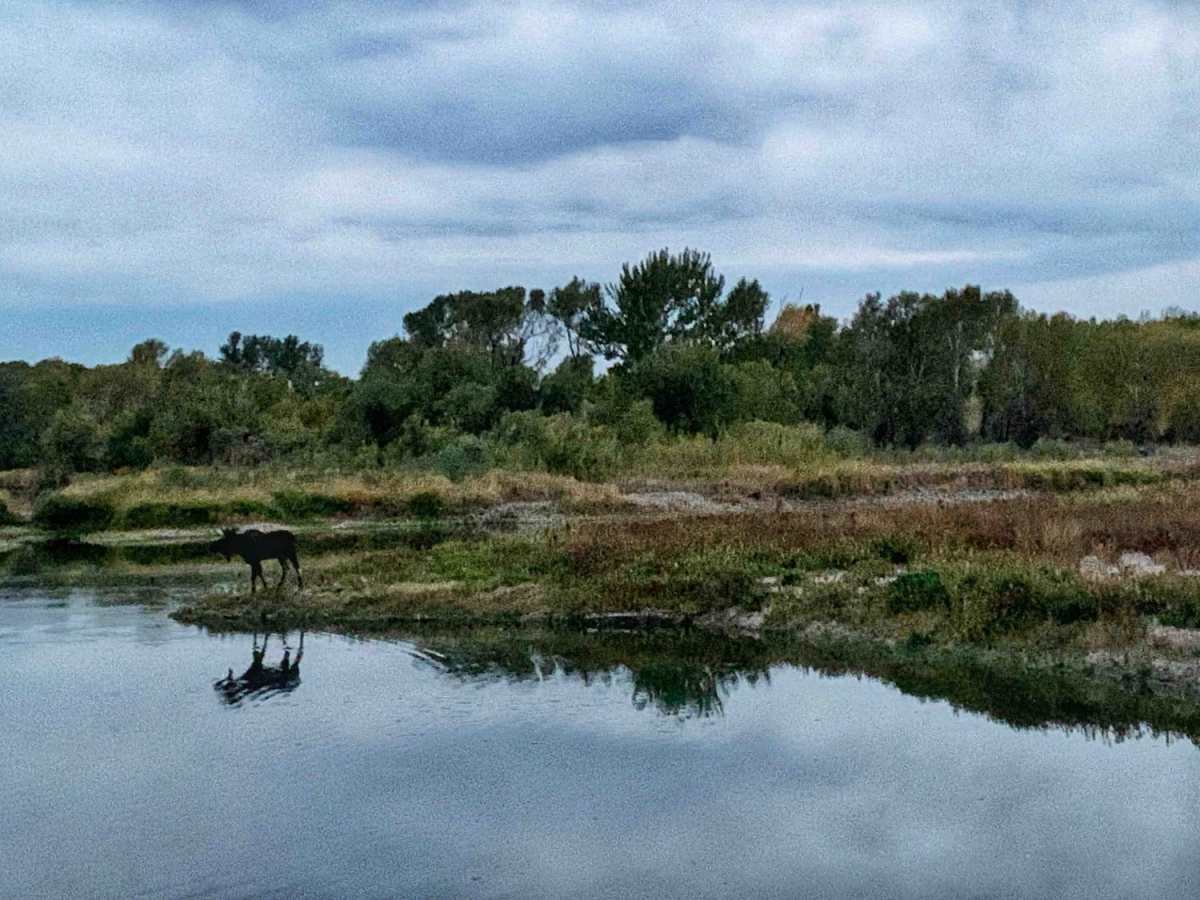 Point of Jefferson River Loop photo 4