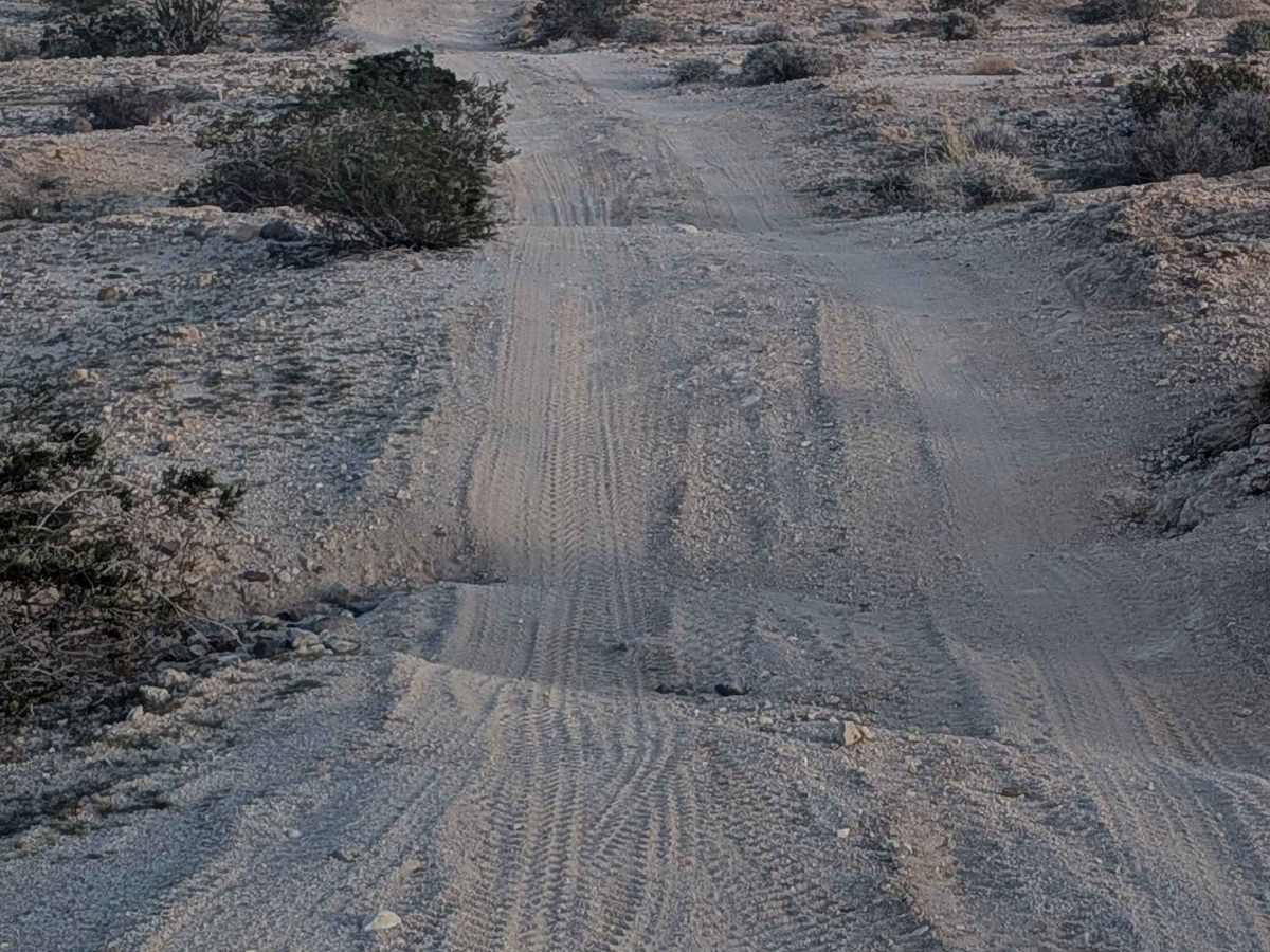 BLM 119 photo 3