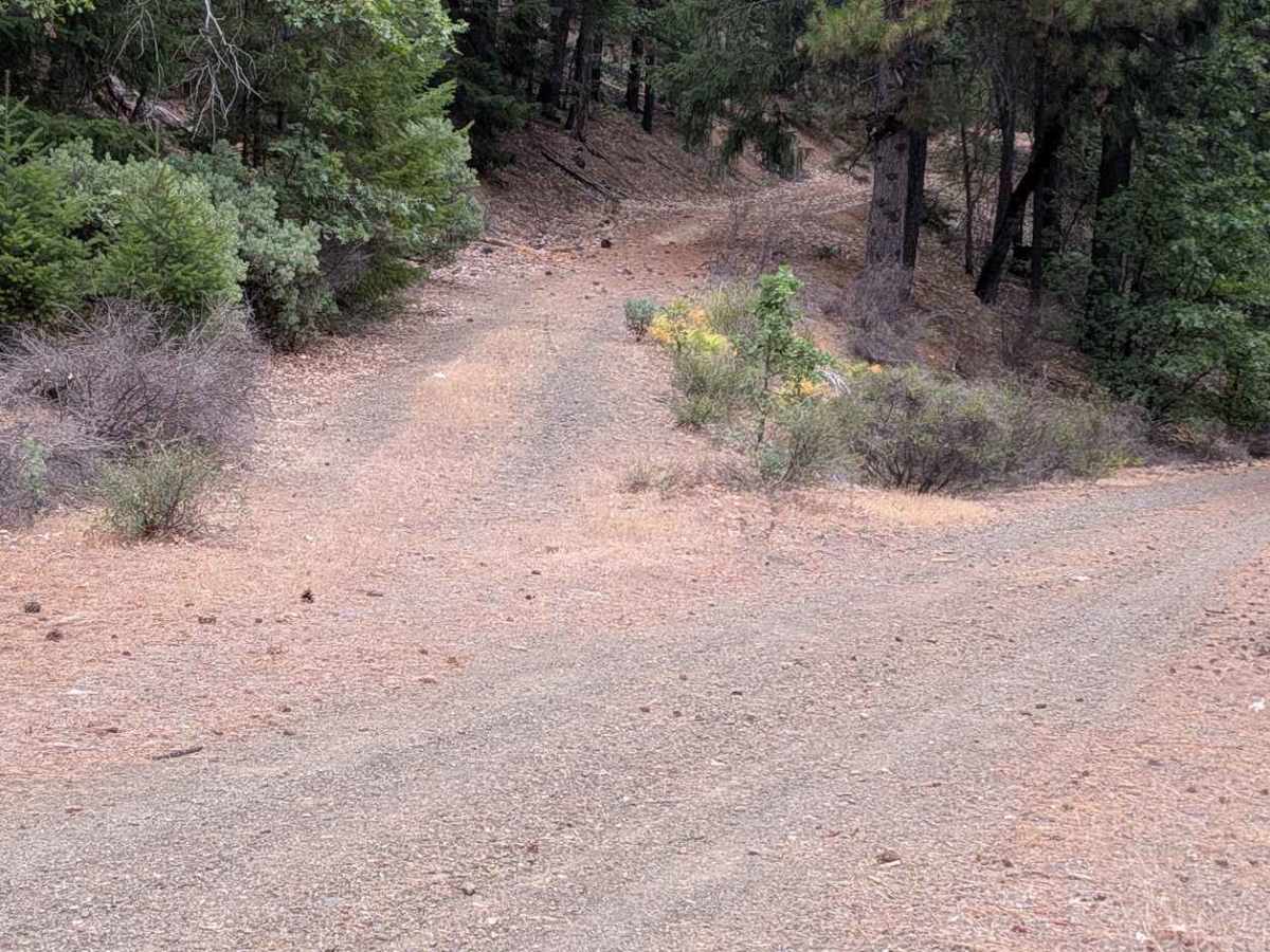 North Rattlesnake Road - FS 1N03 trail photo