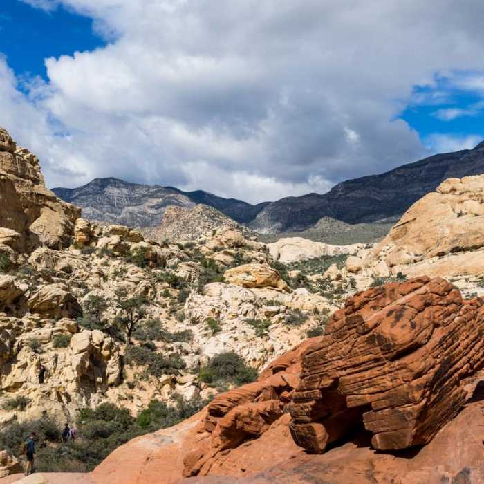 Near Calico Tanks Hike