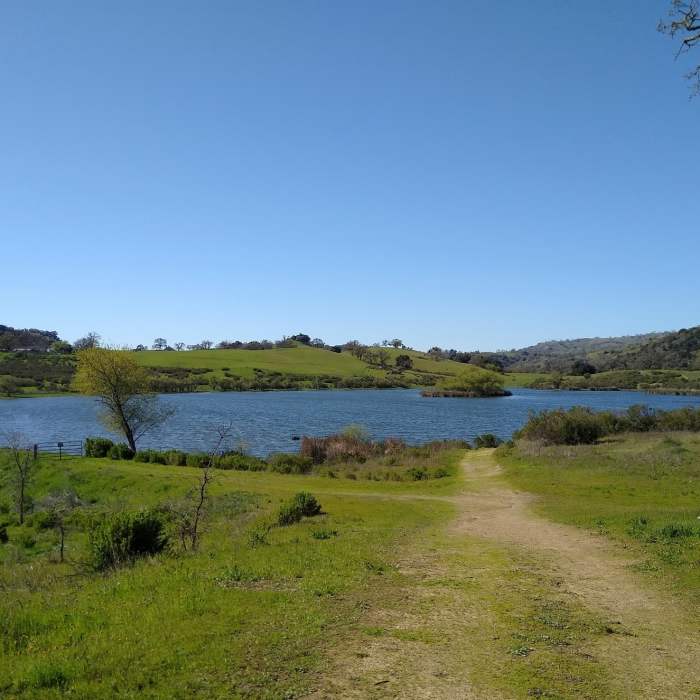 Near Yerba Buena Trail