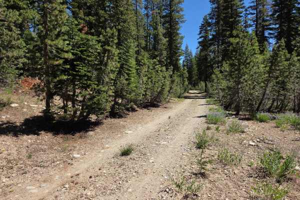 Bear Valley Loop