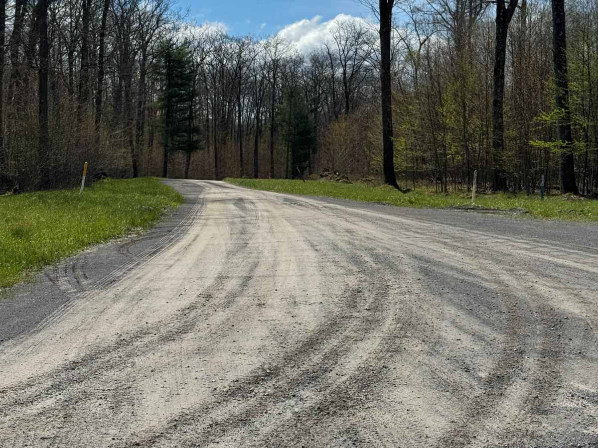 Stone Run Road photo 3