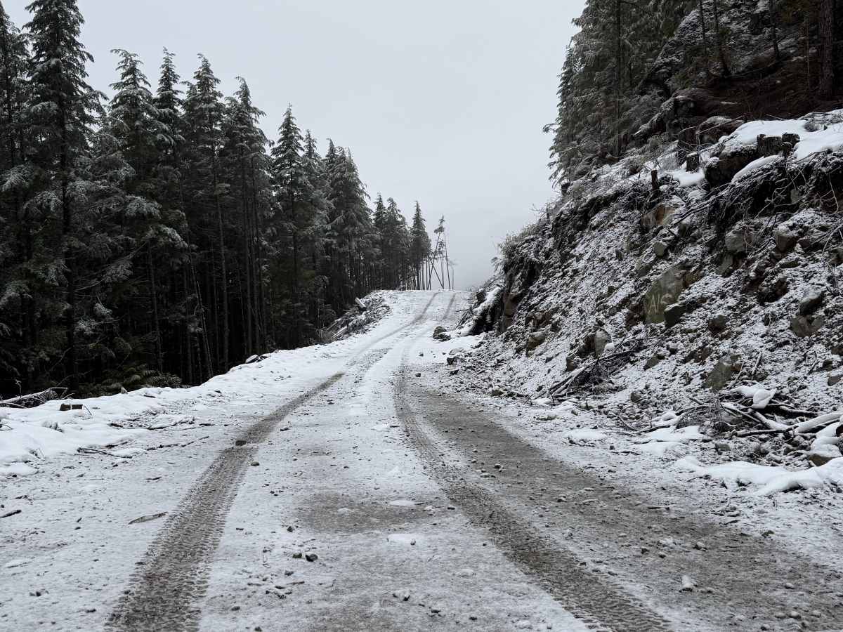 Copper River Road photo 2