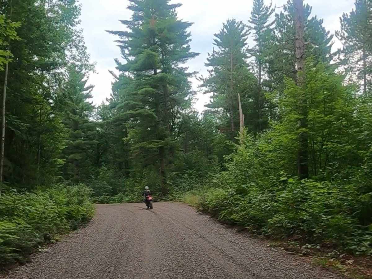 Baraga Plains Road photo 3