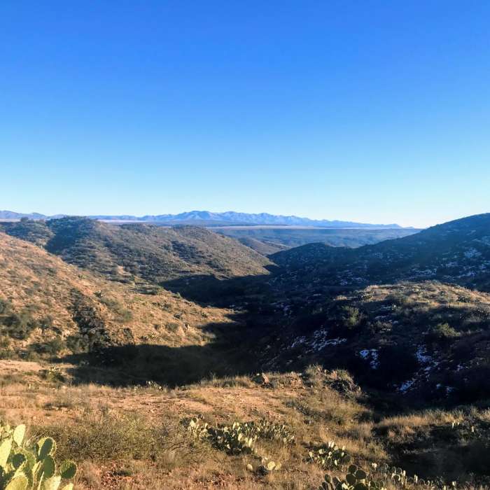 Near Black Canyon Trail: Big Bug Trailhead to Bumble Bee