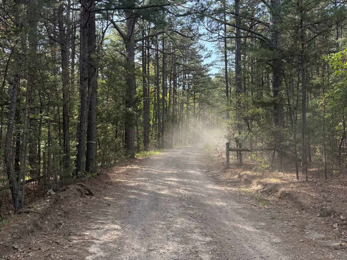 Piney War Trail trail photo