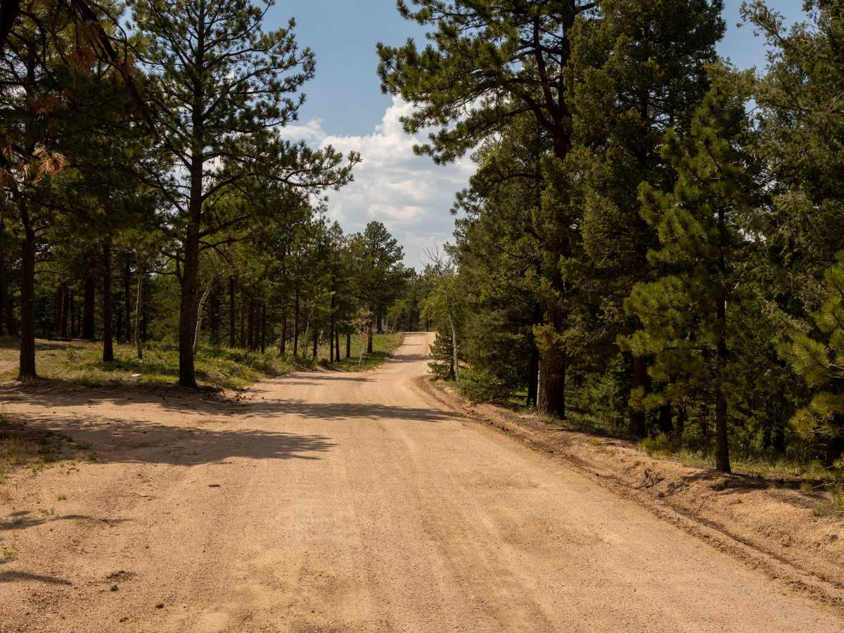 Mount Herman & Rampart Range Roads photo 6