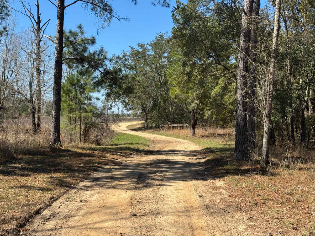 Rock Pond Road photo 5
