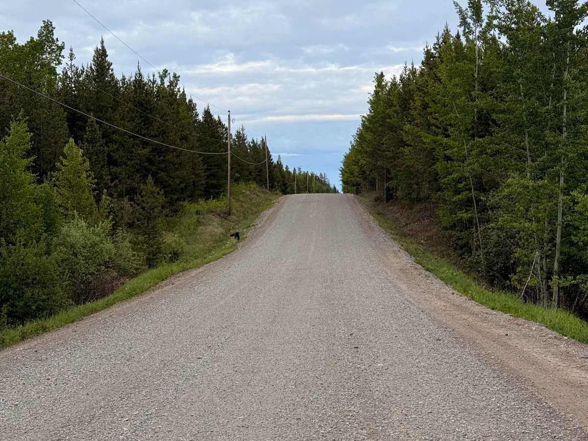 Blackwater Road photo 2