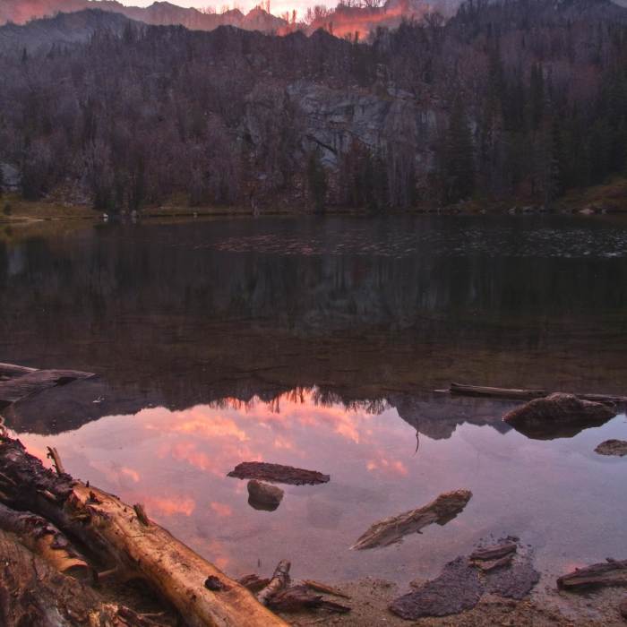 Near Bellas Lakes Near Bellas Lakes