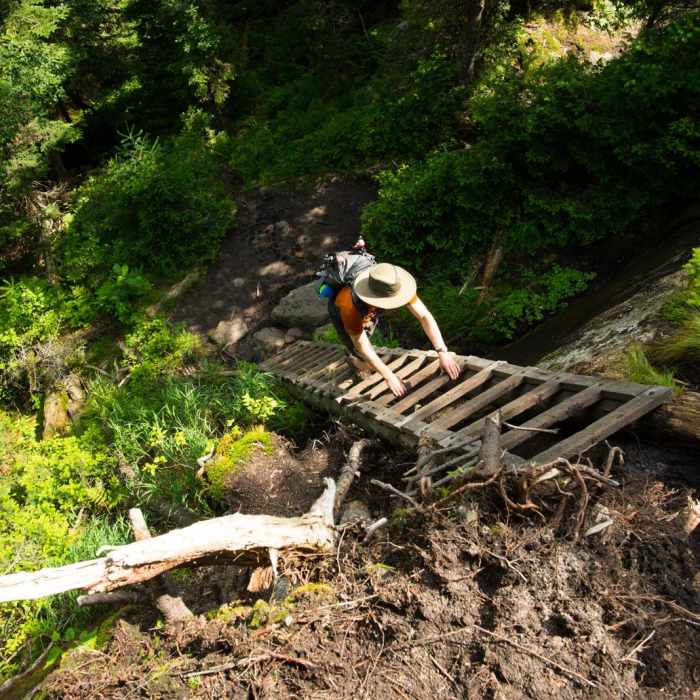 Near Gothics + Armstrong Near Gothics + Armstrong