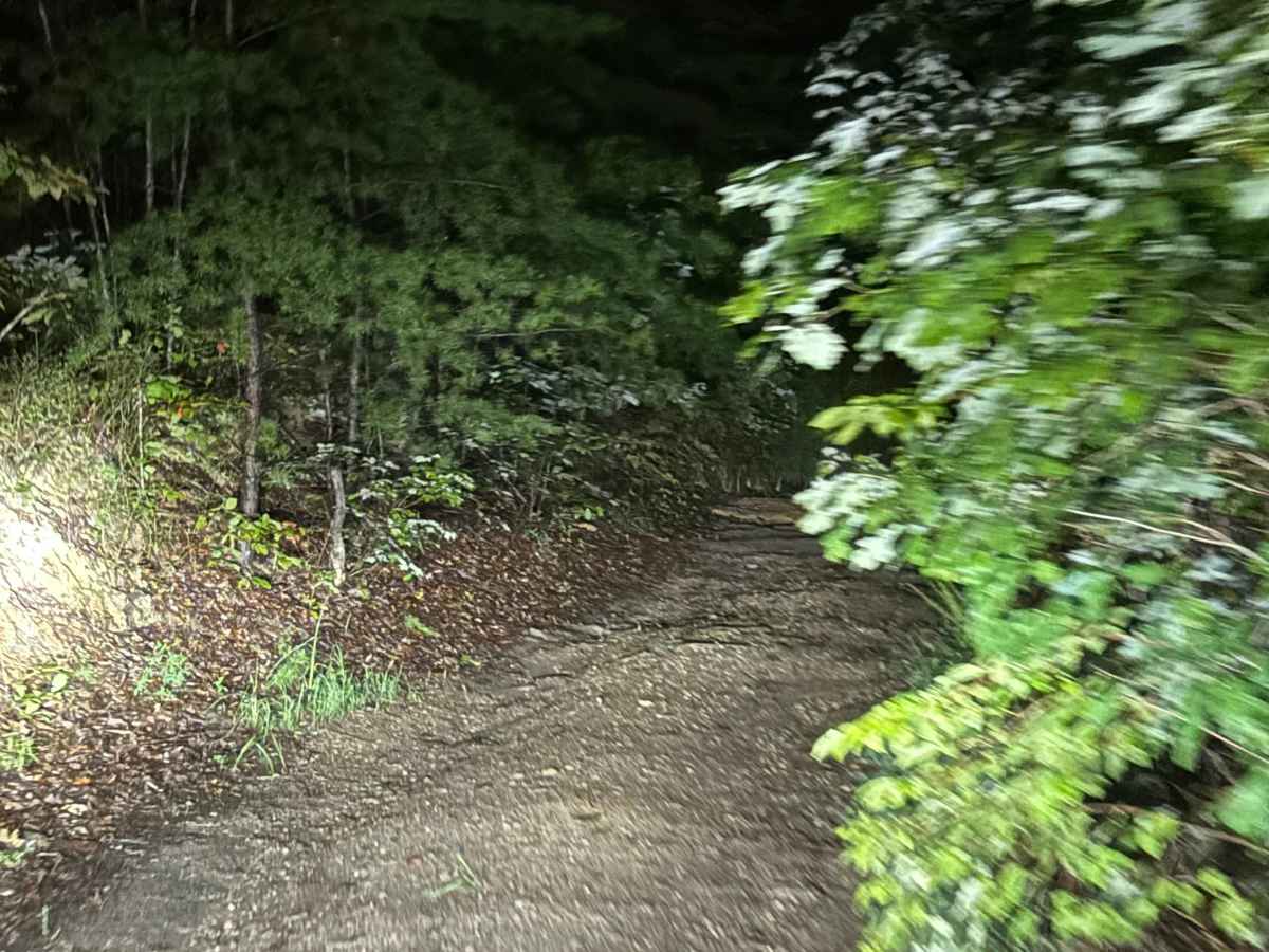 Fire Mountain Road trail photo
