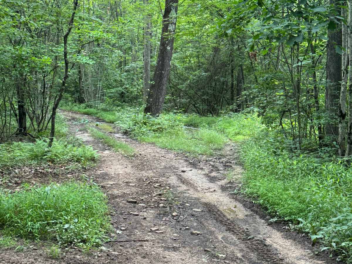 Trail 16 photo 4