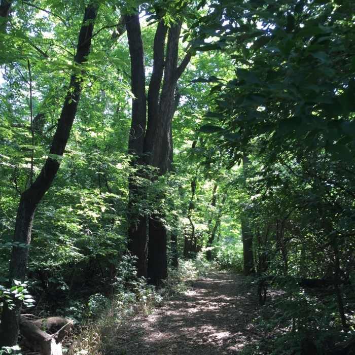 Near Trail of Two Cities