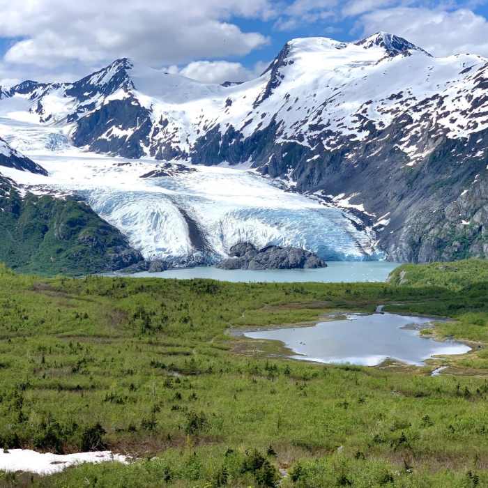 Near Portage Pass Trail Near Portage Pass Trail