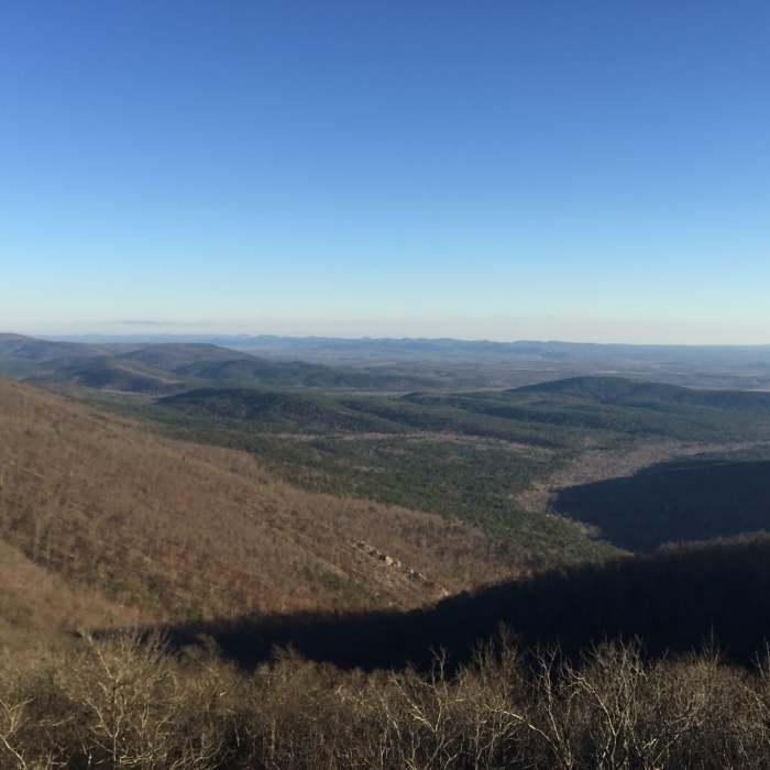 The Ouachitas shine in late afternoon glow. Near Rich Mountain Trail