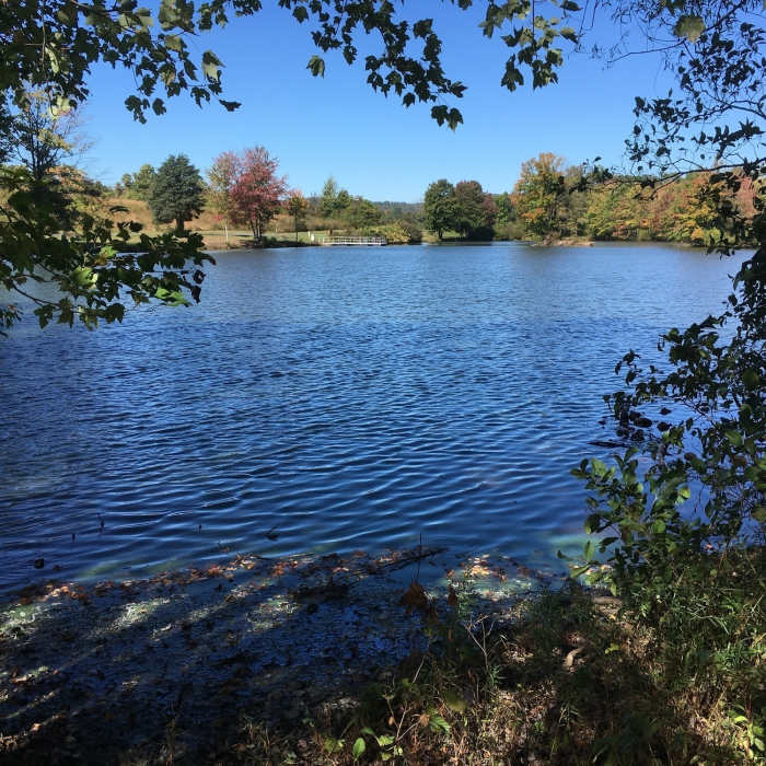 Manny Pond Near Hoffman Park Loop