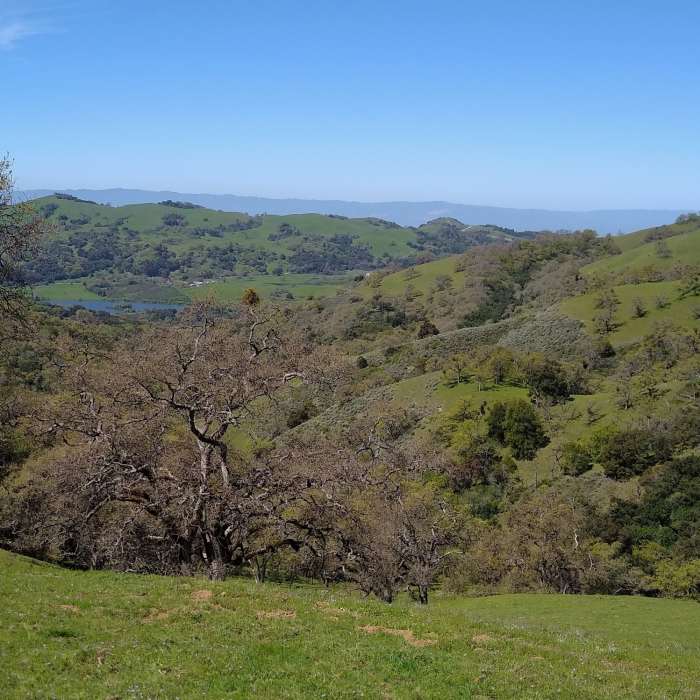 Near Grant View Loop