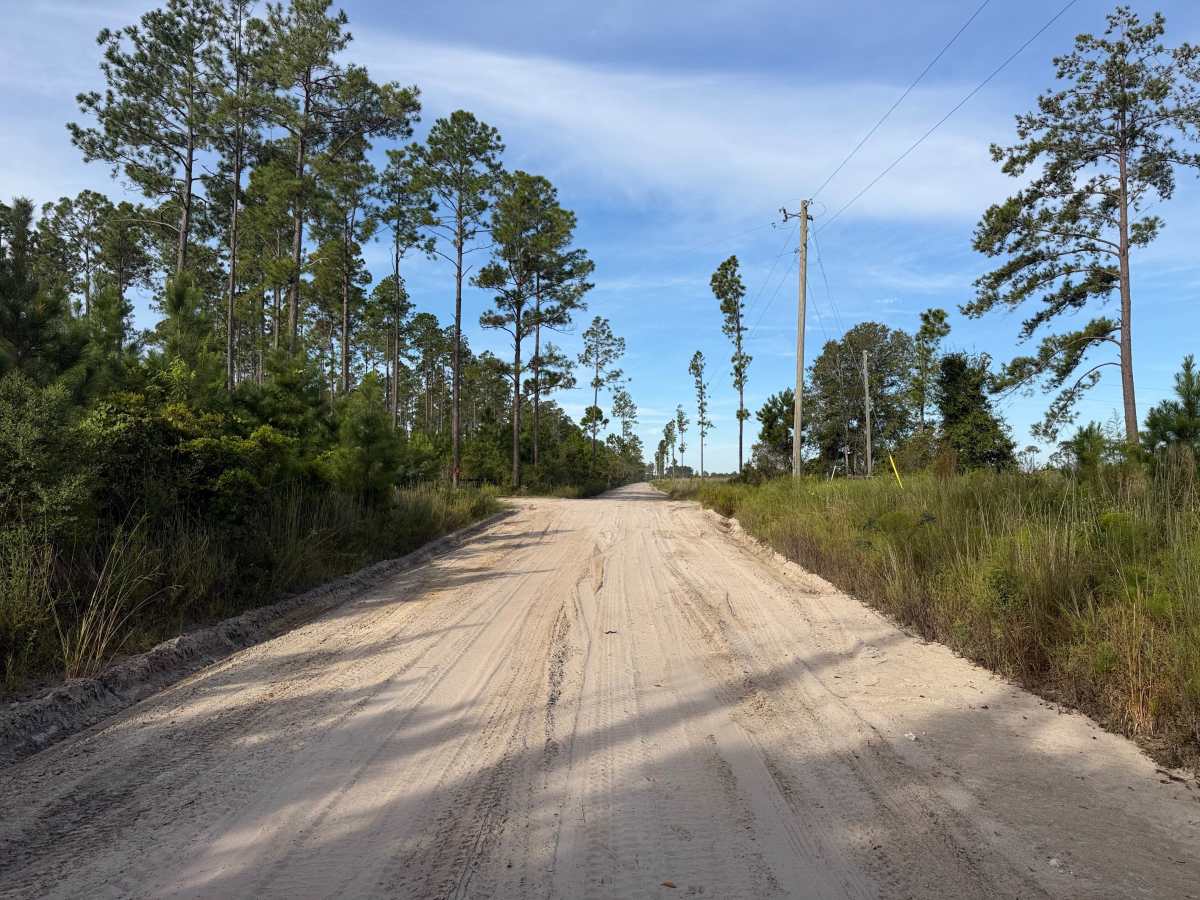 Harod Dobson East trail photo